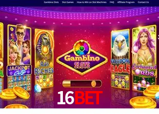 16BET Rio de Janeiro - Bonus Terms